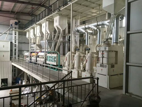 先進(jìn)成套玉米加工設(shè)備 網(wǎng)絡(luò)技術(shù)驅(qū)動(dòng)下的玉米食品多樣化浪潮